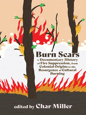 cover image of Burn Scars